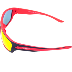 Polariza-c4-8dn-c3-ad-20br-c3-bdle-20POLARIZED-20PO2.84-20Rred-20red-203